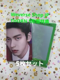 TXT 7TH YEAR Weverse Shop5形態特典トレカ5枚セット