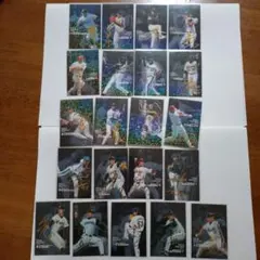 2005年 カルビー タイトルホルダーカード 金サイン入り 21枚セット