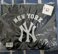 Item thumbnail for item 2b59b74d-0394-4dab-83d8-bc762dca2201