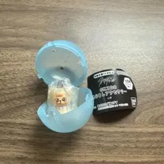 straykids skzoo めじるしアクセサリー パピーム