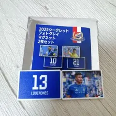 【横浜F・マリノス】フォトグレイマグネット2枚セット ジェイソンキニョーネス