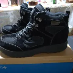 Item thumbnail for item 6e5bf987-7c2c-43ca-a6db-8f67b7d0c370