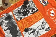 愛媛FC Jリーグ百年構想リーグ開幕記念特製ブランケット（２枚セット）
