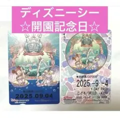 ディズニーリゾートライン　フリーきっぷ　ディズニーシー　24周年　開園記念日