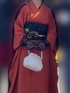 振袖フルセット 7点 成人式 色無地