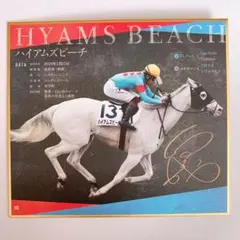 トレーディングミニ色紙 白毛馬一族 色紙コレクション ハイアムズビーチ
