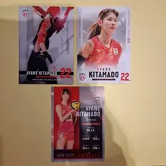 バレーボール 女子日本代表 北窓絢音 セット - メルカリ
