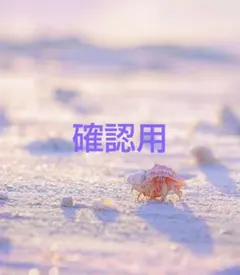 参考画像確認用