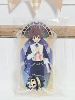 ✽家庭教師ヒットマンREBORN!✽　沢田綱吉　星頌夜　アクリルスタンド　中国