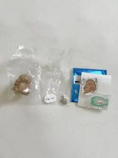 ナガノの水族館 アクリルスタンド & キーホルダー (オオサンショウウオ)