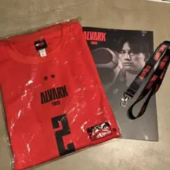 Item thumbnail for item feb65410-77dd-4ac9-a323-dc16a1b5d1b3