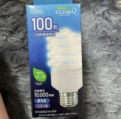 電球