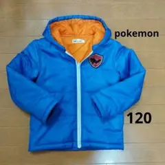 ポケモン 120