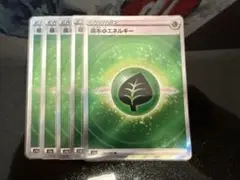 草エネルギー エネルギーカード 5枚セット