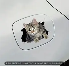 Item thumbnail for item 30a66539-b36b-4620-8dba-0e73e42c9b47