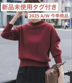 アーバンリサーチDOORS 『蓄熱/洗濯可』ボトルネックKNITプルオーバー