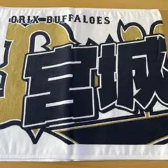 2026年最新】宮城大弥 タオルの人気アイテム - メルカリ