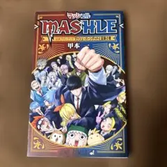 【美品ポスター付属▪️匿名配送】マッシュル　公式ファンブック