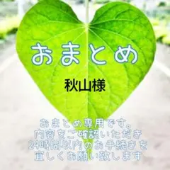 6 /26　秋山様 リクエスト 2点 まとめ商品