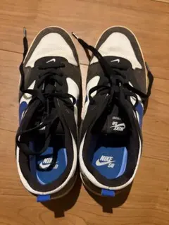 NIKE SB ALLEYOOP スニーカー