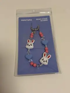 SEVENTEEN MINITEEN エスクプス キーリング