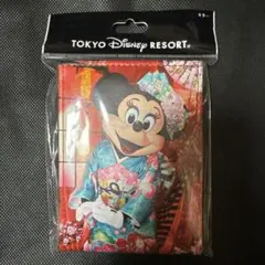 イマジニングザマジック ミニー