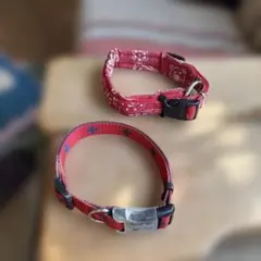 中型犬用の首輪2個セット