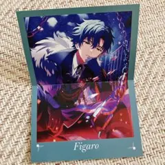まほやく ソナチネ フォト風カード フィガロ - メルカリ