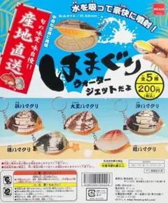 はまぐり ウォータージェットだよ［全5種セット］