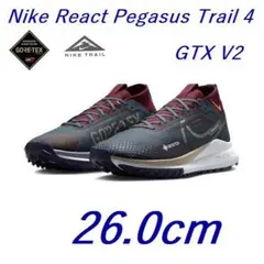 L新品 26cmナイキ リアクトペガサストレイル4 GTX HM9728-300のサムネイル