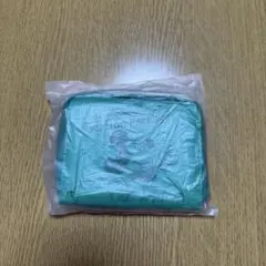 ディズニー バケーションパッケージ 特典 チケットホルダー パスケース グリーン