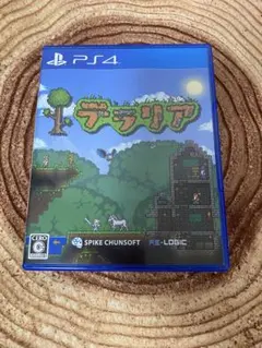 PS4 テラリア