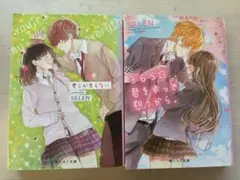 野いちご 小説 バラ売り❌ - メルカリ