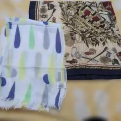 Item thumbnail for item 67bd64e1-f97a-48db-bb0c-d84f4eb258c8