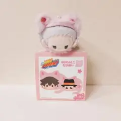 家庭教師ヒットマンREBORN! はるにゃんこたぴぬい 山本武 リボーン