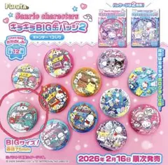 【⑦ハンギョドン】サンリオキャラクター BIG缶バッジ