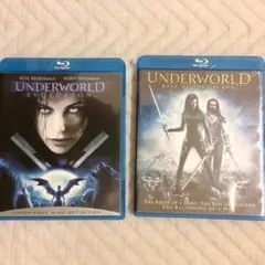 Item thumbnail for item 507da15f-4e5e-494c-956f-774fa9b59452