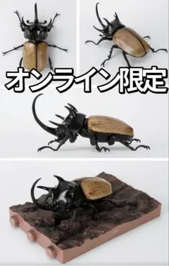 オンライン限定 かぶとむし10 樹皮台座（小）付き グラント