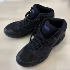 アシックス　バスケットシューズ　24.5cm