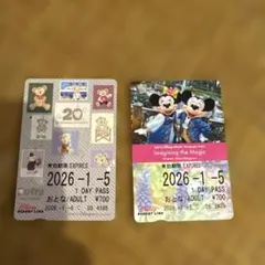 東京ディズニーリゾートライン使用済1日券　2枚セット