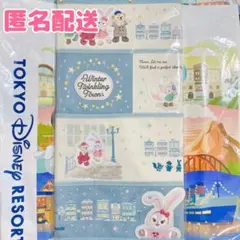 ダッフィー フレンズ クリスマス ウォールポケット タペストリー 匿名配送