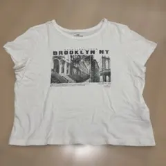 Hollister Brooklyn NY プリントTシャツ ホワイト Lのサムネイル