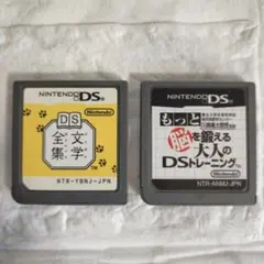 文学全集 もっと脳を鍛える大人のDSトレーニング DS DSlite ソフト