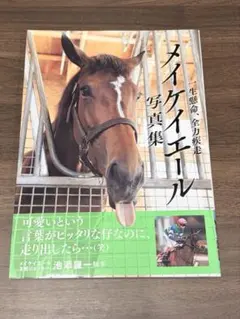メイケイエール写真集 一生懸命、全力疾走