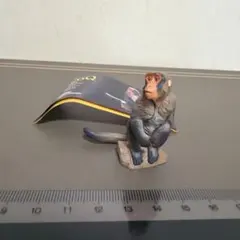 チョコQ タイワンザルのサムネイル