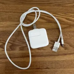 USB電源アダプタ Lightningケーブル セット