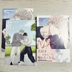 きみの春花 3　有馬嵐　アニメイト限定セット