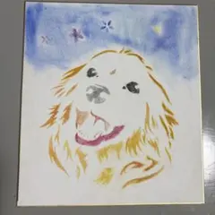 パステルアート 色紙 大 ハンドメイド 犬