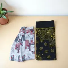 Item thumbnail for item 8b2087f5-66fa-44e1-b178-97ea7a69b8e7