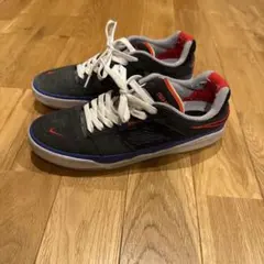 NIKE SB ISHOD NBA